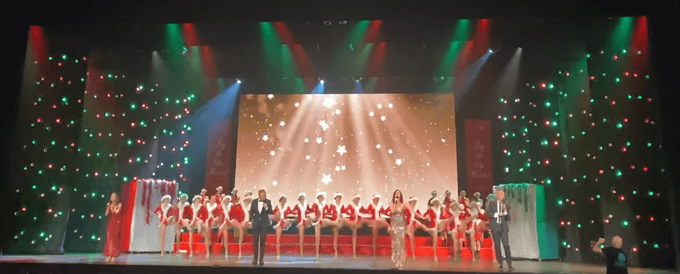 hama-christmas-spectacular-tls-dmx-festoon